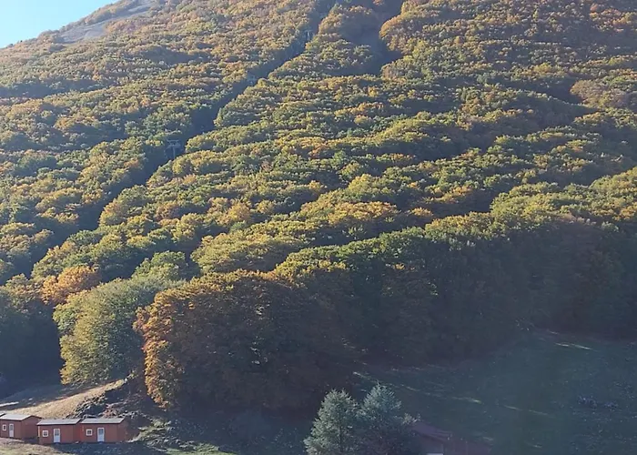 Διαμέρισμα Casa Richiusa Calogero